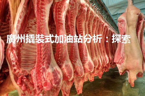 廣州撬裝式加油站分析：探索數(shù)據(jù)背后的秘密！